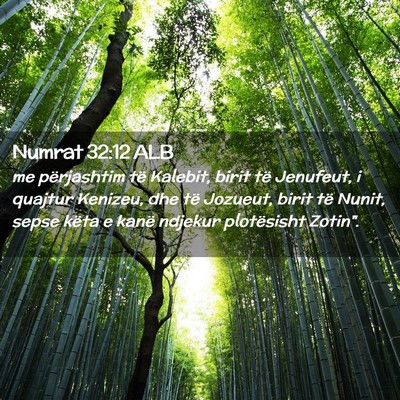 Picture 02 - Numrat 32:12 ALB - me përjashtim të Kalebit, birit të Jenufeut, i - Bible Verse Picture