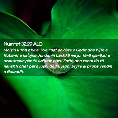 Picture 02 - Numrat 32:29 ALB - Moisiu u tha atyre: 