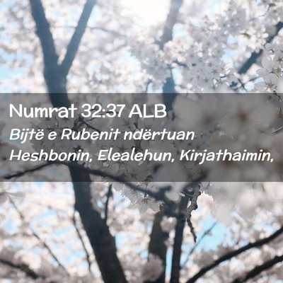 Picture 02 - Numrat 32:37 ALB - Bijtë e Rubenit ndërtuan Heshbonin, Elealehun, - Bible Verse Picture