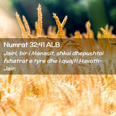 Picture 02 - Numrat 32:41 ALB - Jairi, bir i Manasit, shkoi dhepushtoi fshatrat e - Bible Verse Picture