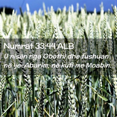 Picture 02 - Numrat 33:44 ALB - U nisën nga Obothi dhe fushuan në Ije-Abarim, - Bible Verse Picture