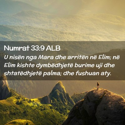 Picture 02 - Numrat 33:9 ALB - U nisën nga Mara dhe arritën në Elim; në Elim - Bible Verse Picture