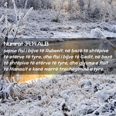 Picture 02 - Numrat 34:14 ALB - sepse fisi i bijve të Rubenit, në bazë të - Bible Verse Picture