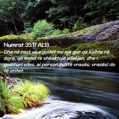 Picture 02 - Numrat 35:17 ALB - Dhe në rast se e godet me një gur që kishte - Bible Verse Picture