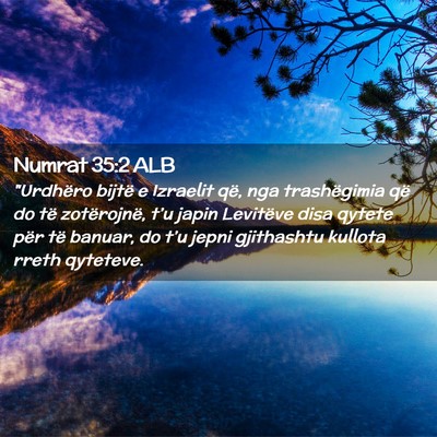 Picture 02 - Numrat 35:2 ALB - 