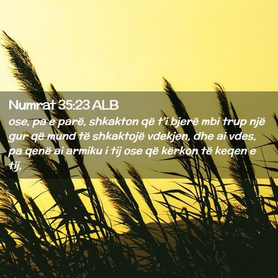 Picture 02 - Numrat 35:23 ALB - ose, pa e parë, shkakton që t’i bjerë mbi - Bible Verse Picture