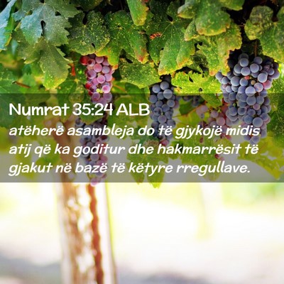 Picture 02 - Numrat 35:24 ALB - atëherë asambleja do të gjykojë midis atij - Bible Verse Picture