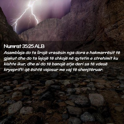 Picture 02 - Numrat 35:25 ALB - Asambleja do ta lirojë vrasësin nga dora e - Bible Verse Picture