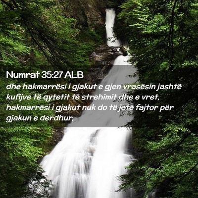 Picture 02 - Numrat 35:27 ALB - dhe hakmarrësi i gjakut e gjen vrasësin jashtë - Bible Verse Picture