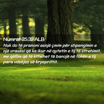 Picture 02 - Numrat 35:32 ALB - Nuk do të pranoni asnjë çmim për shpengimin e - Bible Verse Picture