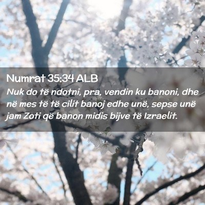 Picture 02 - Numrat 35:34 ALB - Nuk do të ndotni, pra, vendin ku banoni, dhe në - Bible Verse Picture