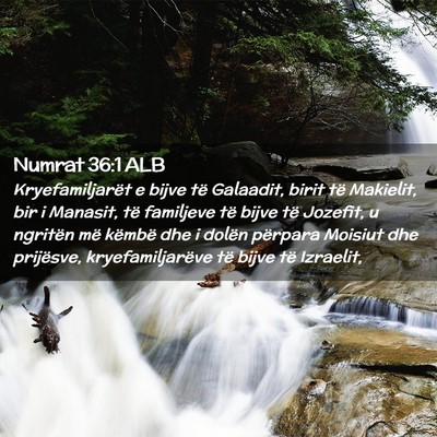 Picture 02 - Numrat 36:1 ALB - Kryefamiljarët e bijve të Galaadit, birit të - Bible Verse Picture