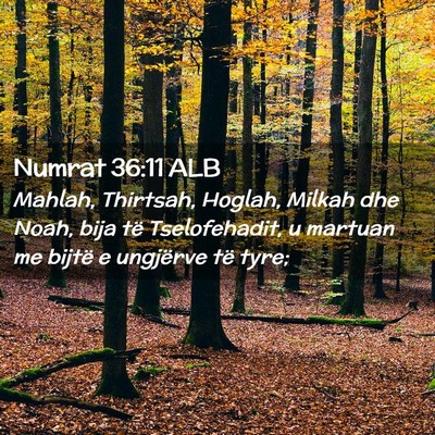 Picture 02 - Numrat 36:11 ALB - Mahlah, Thirtsah, Hoglah, Milkah dhe Noah, bija - Bible Verse Picture