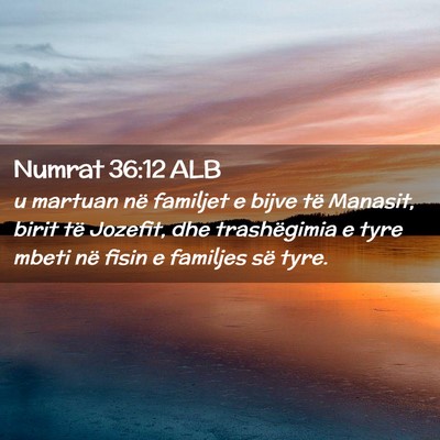 Picture 02 - Numrat 36:12 ALB - u martuan në familjet e bijve të Manasit, birit - Bible Verse Picture