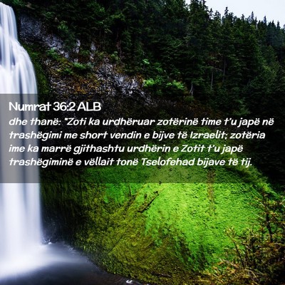 Picture 02 - Numrat 36:2 ALB - dhe thanë: 