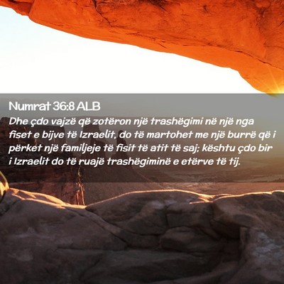 Picture 02 - Numrat 36:8 ALB - Dhe çdo vajzë që zotëron një trashëgimi në - Bible Verse Picture