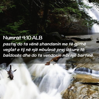 Picture 02 - Numrat 4:10 ALB - pastaj do ta vënë shandanin me të gjithë - Bible Verse Picture