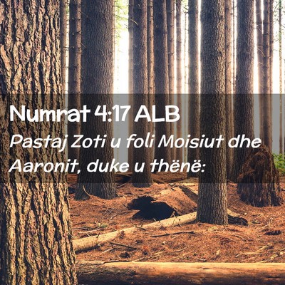 Picture 02 - Numrat 4:17 ALB - Pastaj Zoti u foli Moisiut dhe Aaronit, duke u - Bible Verse Picture