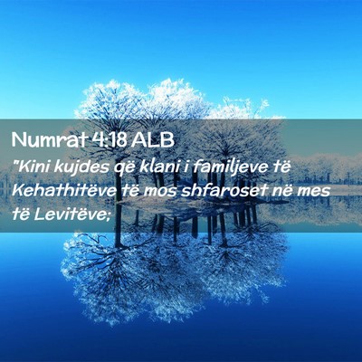 Picture 02 - Numrat 4:18 ALB - 