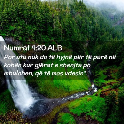 Picture 02 - Numrat 4:20 ALB - Por ata nuk do të hyjnë për të parë në - Bible Verse Picture