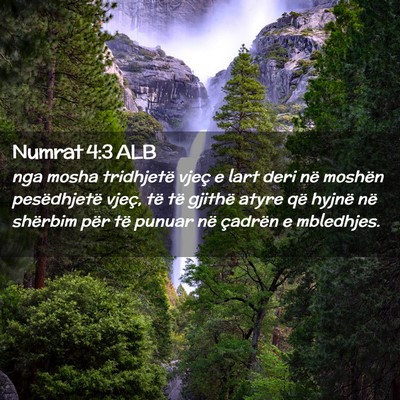 Picture 02 - Numrat 4:3 ALB - nga mosha tridhjetë vjeç e lart deri në - Bible Verse Picture