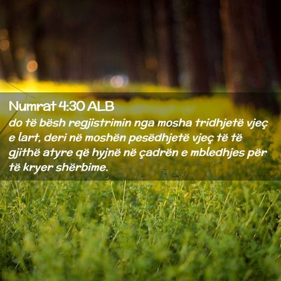 Picture 02 - Numrat 4:30 ALB - do të bësh regjistrimin nga mosha tridhjetë - Bible Verse Picture
