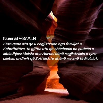 Picture 02 - Numrat 4:37 ALB - Këta qenë ata që u regjistruan nga familjet e - Bible Verse Picture