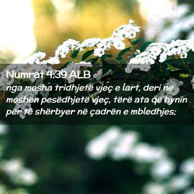 Picture 02 - Numrat 4:39 ALB - nga mosha tridhjetë vjeç e lart, deri në - Bible Verse Picture