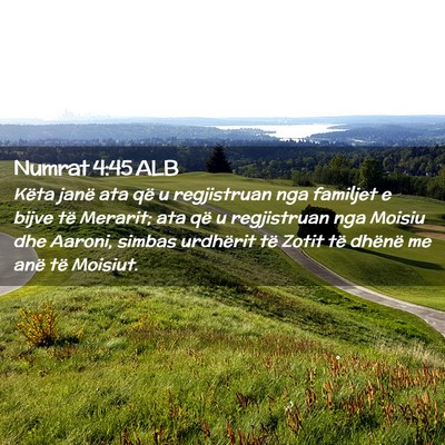 Picture 02 - Numrat 4:45 ALB - Këta janë ata që u regjistruan nga familjet e - Bible Verse Picture