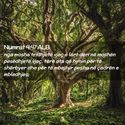 Picture 02 - Numrat 4:47 ALB - nga mosha tridhjetë vjeç e lart deri në - Bible Verse Picture