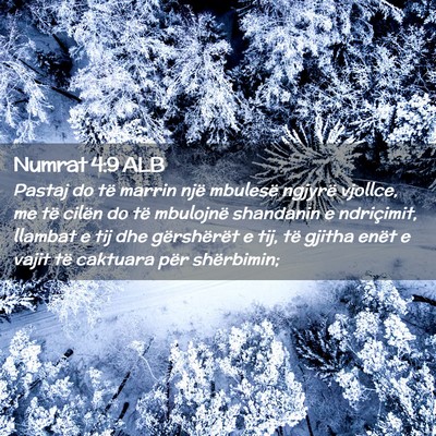 Picture 02 - Numrat 4:9 ALB - Pastaj do të marrin një mbulesë ngjyrë - Bible Verse Picture