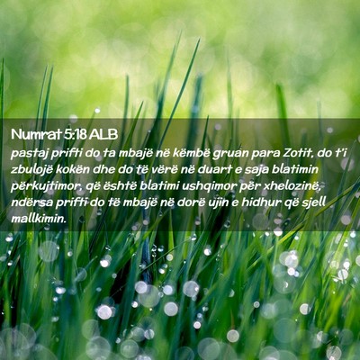 Picture 02 - Numrat 5:18 ALB - pastaj prifti do ta mbajë në këmbë gruan para - Bible Verse Picture