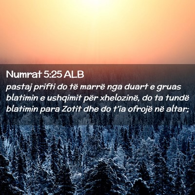 Picture 02 - Numrat 5:25 ALB - pastaj prifti do të marrë nga duart e gruas - Bible Verse Picture