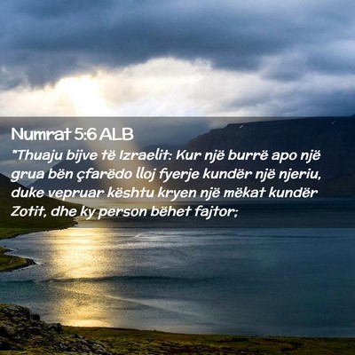 Picture 02 - Numrat 5:6 ALB - 