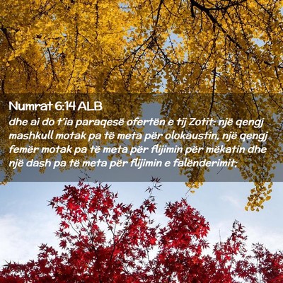 Picture 02 - Numrat 6:14 ALB - dhe ai do t’ia paraqesë ofertën e tij Zotit: - Bible Verse Picture