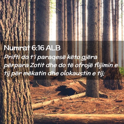 Picture 02 - Numrat 6:16 ALB - Prifti do t’i paraqesë këto gjëra përpara - Bible Verse Picture