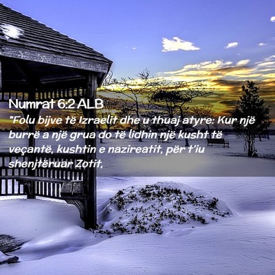 Picture 02 - Numrat 6:2 ALB - 