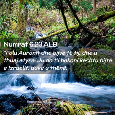 Picture 02 - Numrat 6:23 ALB - 