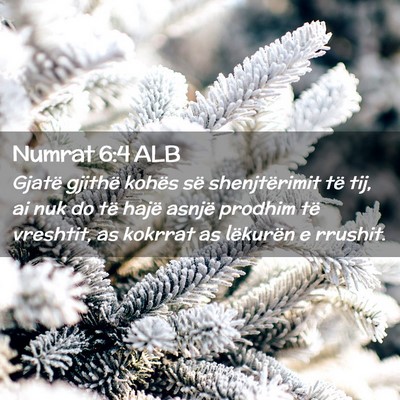Picture 02 - Numrat 6:4 ALB - Gjatë gjithë kohës së shenjtërimit të tij, - Bible Verse Picture