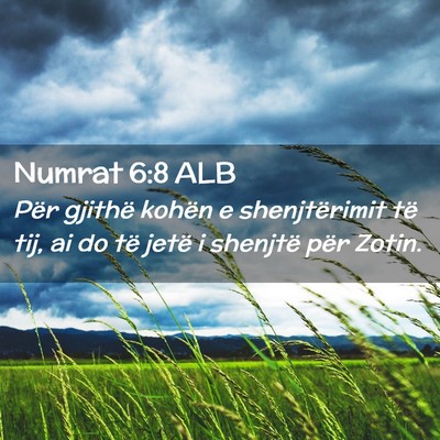 Picture 02 - Numrat 6:8 ALB - Për gjithë kohën e shenjtërimit të tij, ai - Bible Verse Picture