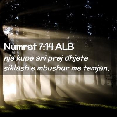 Picture 02 - Numrat 7:14 ALB - një kupë ari prej dhjetë siklash e mbushur me - Bible Verse Picture
