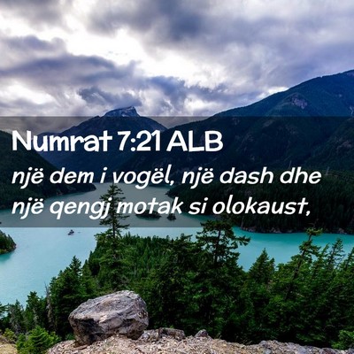 Picture 02 - Numrat 7:21 ALB - një dem i vogël, një dash dhe një qengj motak - Bible Verse Picture