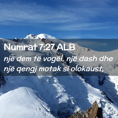 Picture 02 - Numrat 7:27 ALB - një dem të vogël, një dash dhe një qengj - Bible Verse Picture