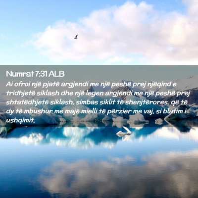 Picture 02 - Numrat 7:31 ALB - Ai ofroi një pjatë argjendi me një peshë prej - Bible Verse Picture