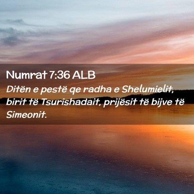 Picture 02 - Numrat 7:36 ALB - Ditën e pestë qe radha e Shelumielit, birit të - Bible Verse Picture