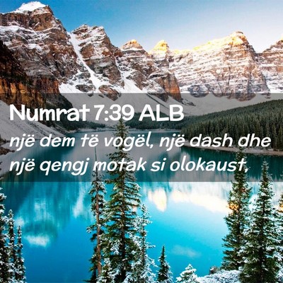 Picture 02 - Numrat 7:39 ALB - një dem të vogël, një dash dhe një qengj - Bible Verse Picture