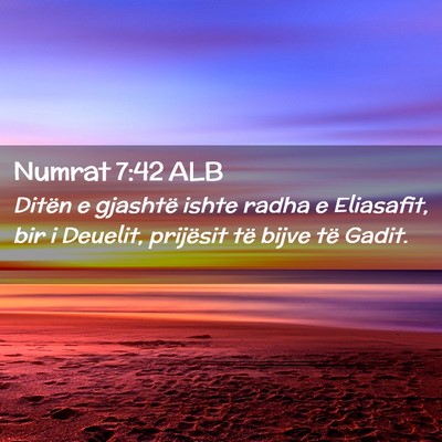 Picture 02 - Numrat 7:42 ALB - Ditën e gjashtë ishte radha e Eliasafit, bir i - Bible Verse Picture