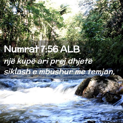 Picture 02 - Numrat 7:56 ALB - një kupë ari prej dhjetë siklash e mbushur me - Bible Verse Picture