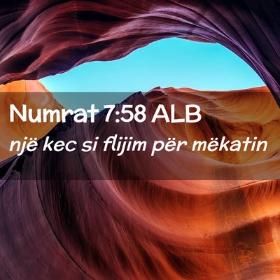 Picture 02 - Numrat 7:58 ALB - një kec si flijim për - Bible Verse Picture