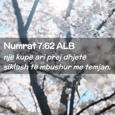 Picture 02 - Numrat 7:62 ALB - një kupë ari prej dhjetë siklash të mbushur - Bible Verse Picture